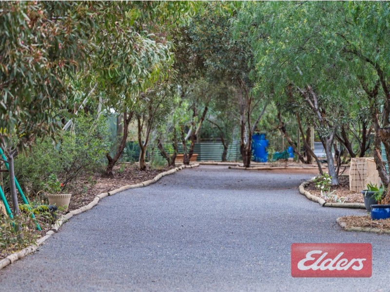 10 Pratt Road, Wasleys SA 5400