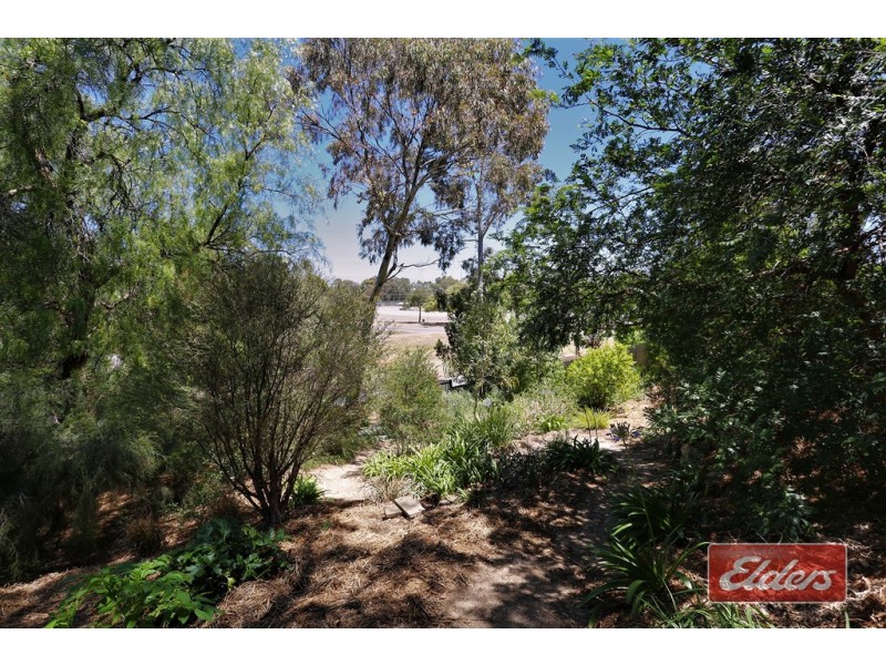 46 Finniss Street, Gawler SA 5118