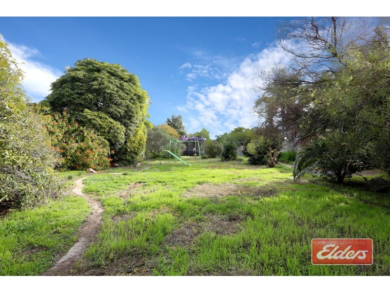 17 Phillips Avenue, Gawler East SA 5118