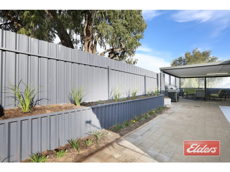 61 Causby Crescent, Willaston SA 5118