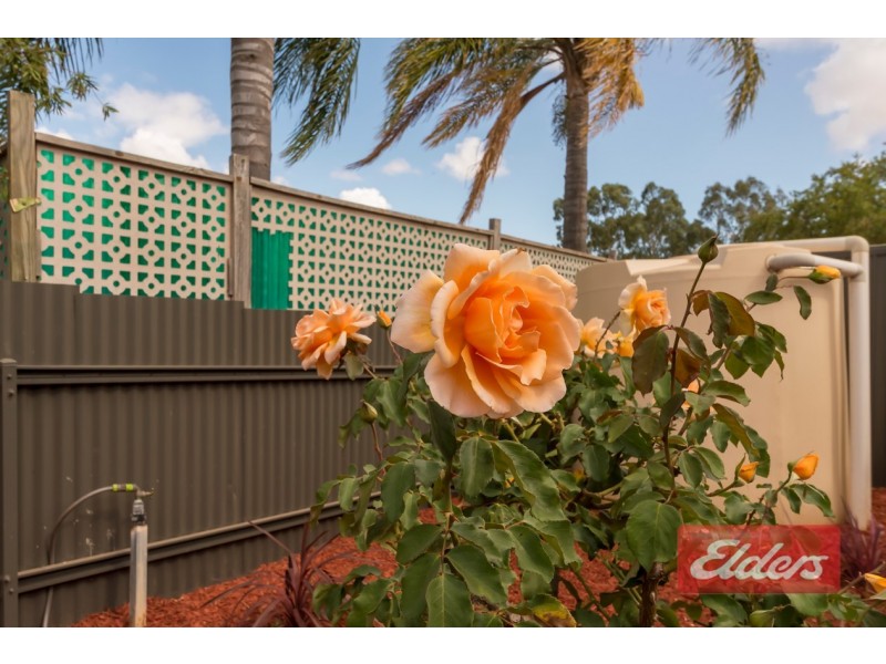 84A Lyndoch Road, Gawler East SA 5118