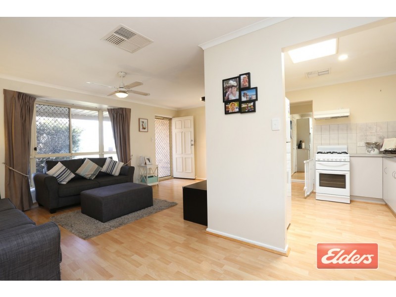 3 Siostrom Court, Willaston SA 5118