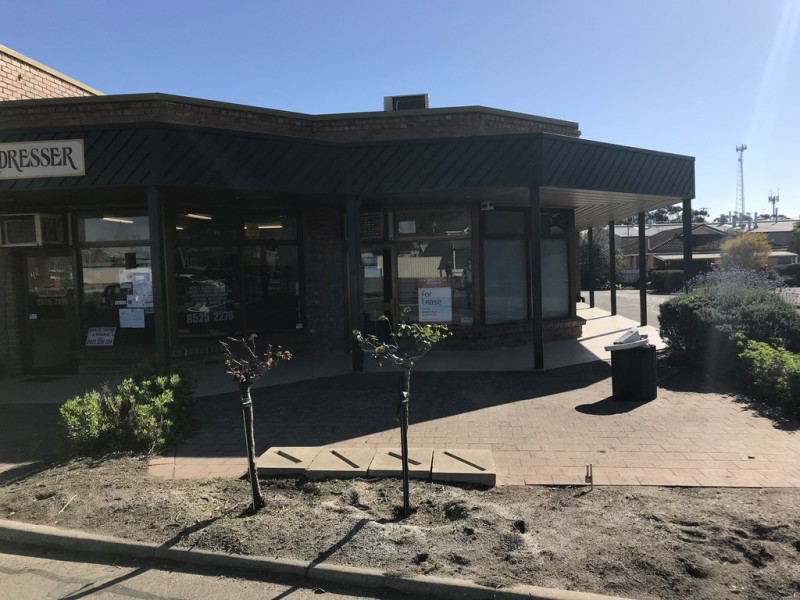 3 Hanson Street, Freeling SA 5372