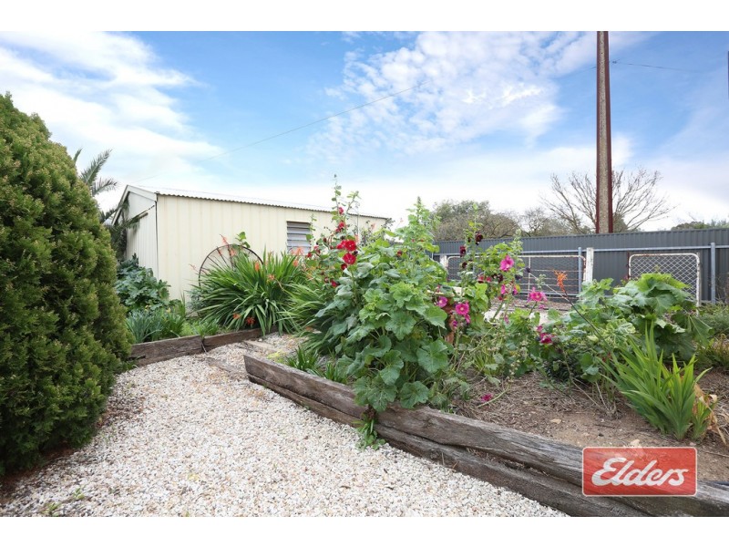 5 Anders Street, Freeling SA 5372