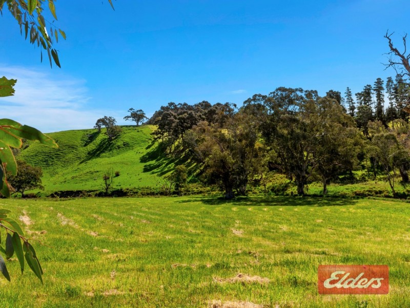 119 Springton Road, Williamstown SA 5351