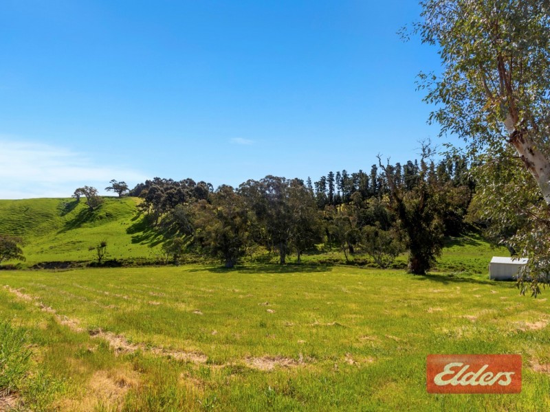 119 Springton Road, Williamstown SA 5351