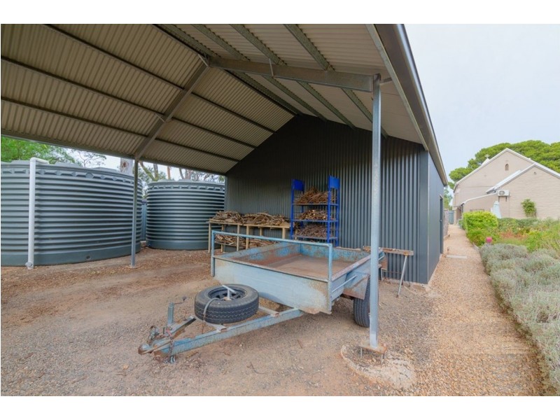 19 Clarke Street, Freeling SA 5372