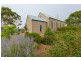 19 Clarke Street, Freeling SA 5372