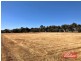 Lot 202 Clancy Road, Gawler Belt SA 5118