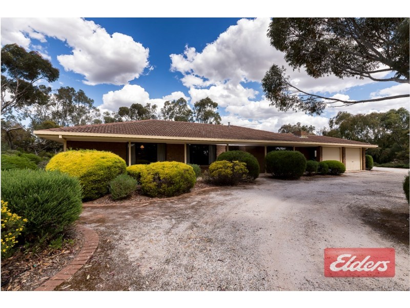 16 Peppermint Drive, Gawler Belt SA 5118