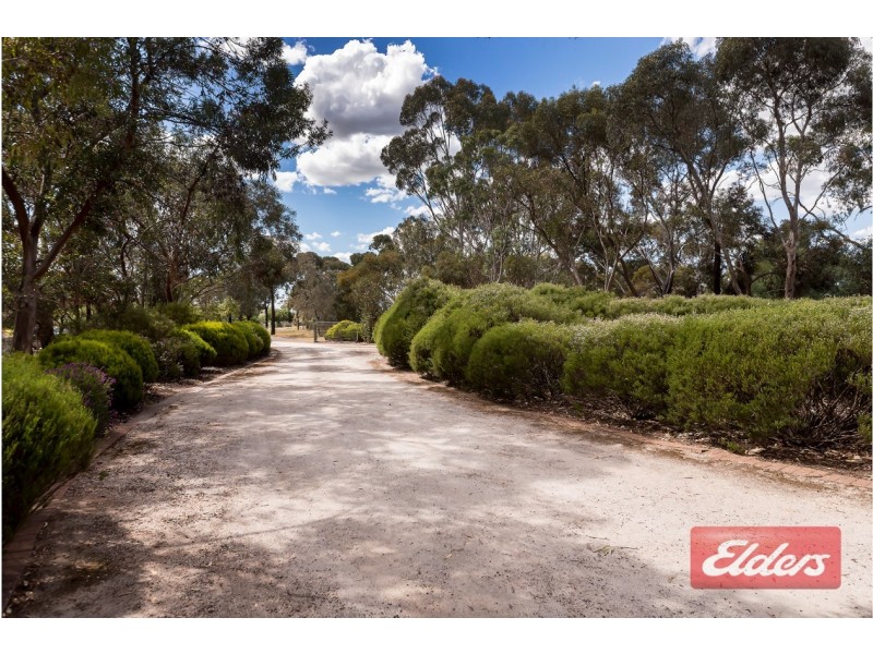 16 Peppermint Drive, Gawler Belt SA 5118