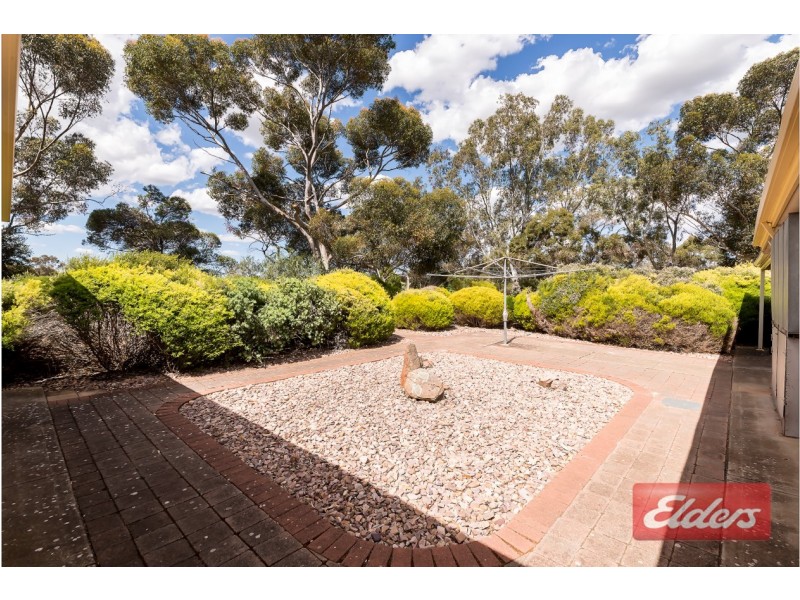 16 Peppermint Drive, Gawler Belt SA 5118