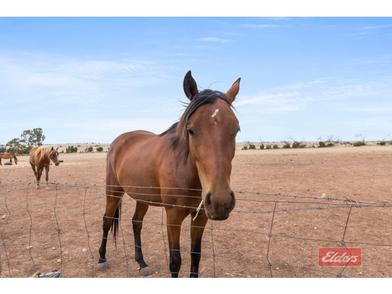 1714 Barabba Road, Barabba SA 5460