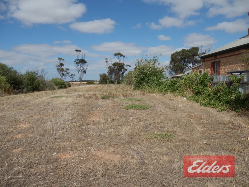 8 Cameron Terrace, Mallala SA 5502