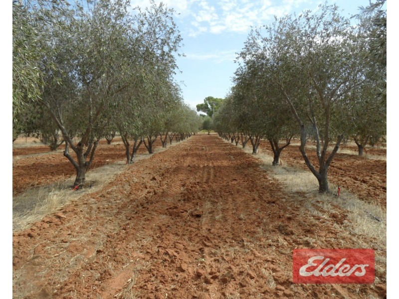 380 (Lot 5) Angle Vale Road, Kudla SA 5115