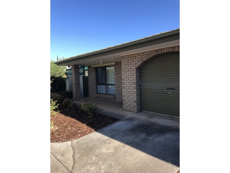 6 11 QUEEN STREET, Willaston SA 5118