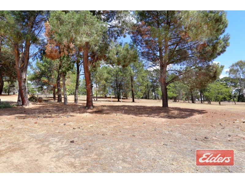 54 Cockatoo Lane, Sandy Creek SA 5350