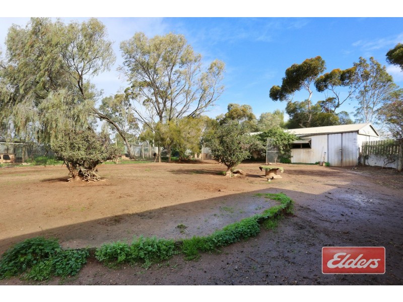 218 Hayman Road, Lewiston SA 5501