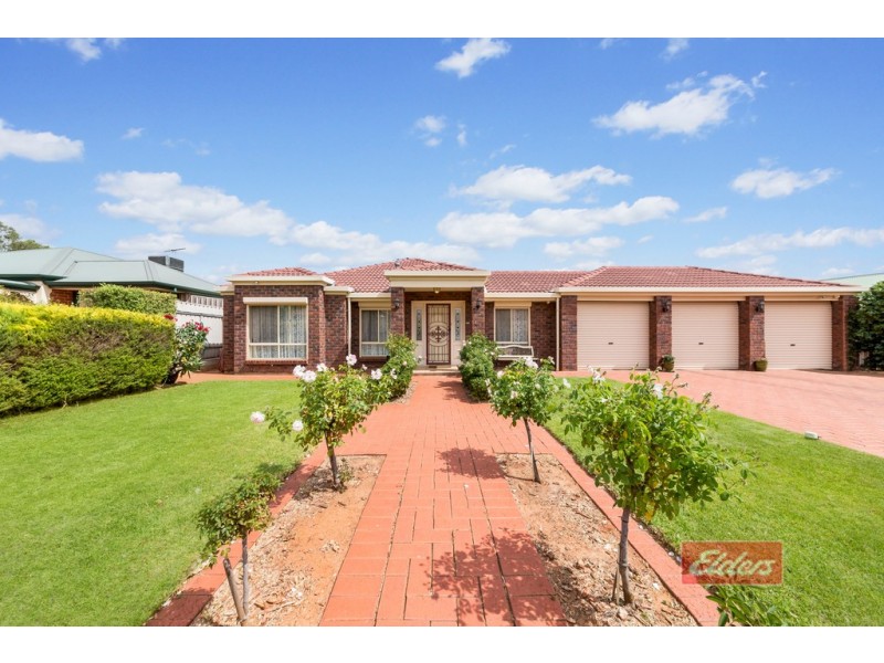 12 Thiele Crescent, Evanston Park SA 5116