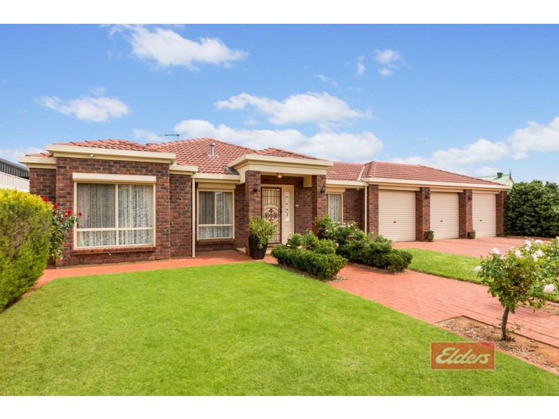 12 Thiele Crescent, Evanston Park SA 5116