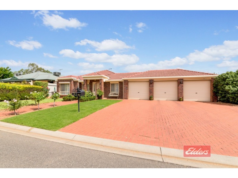 12 Thiele Crescent, Evanston Park SA 5116