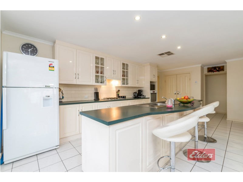 12 Thiele Crescent, Evanston Park SA 5116