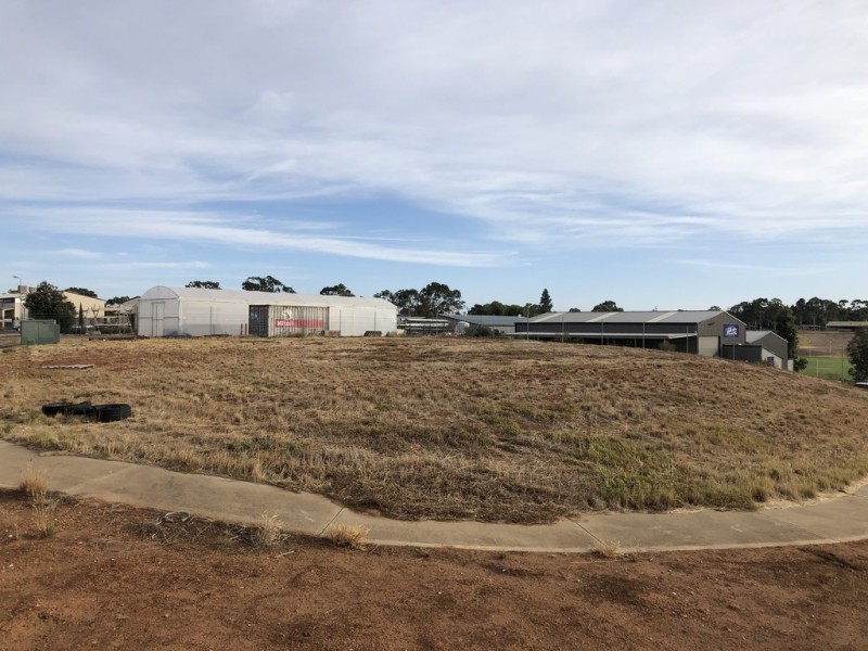 51 Theen Avenue, Willaston SA 5118
