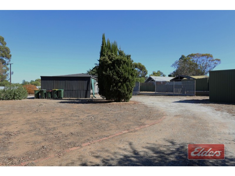 71 Hanson Street, Freeling SA 5372