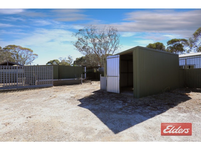 71 Hanson Street, Freeling SA 5372