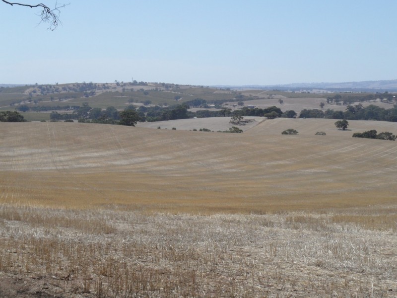 Lot 4 Mugge Road, Sandy Creek SA 5350