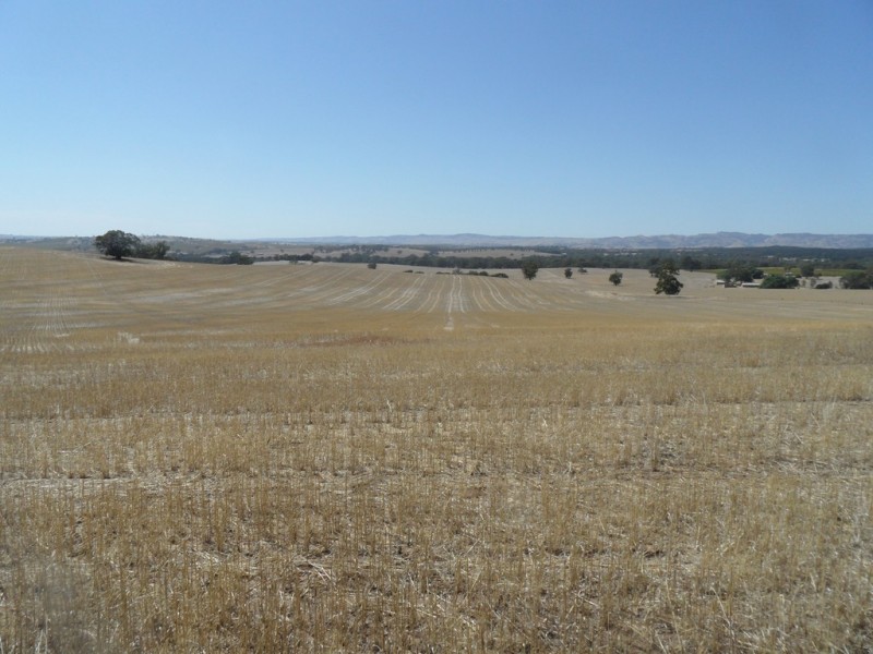 Lot 4 Mugge Road, Sandy Creek SA 5350