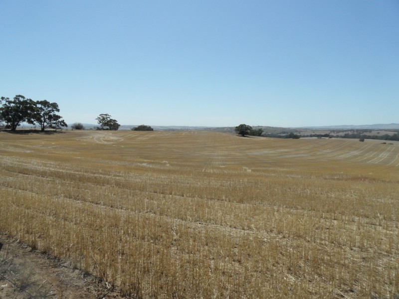 Lot 4 Mugge Road, Sandy Creek SA 5350