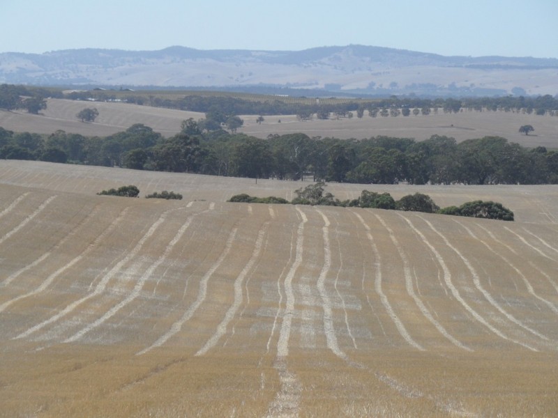 Lot 4 Mugge Road, Sandy Creek SA 5350