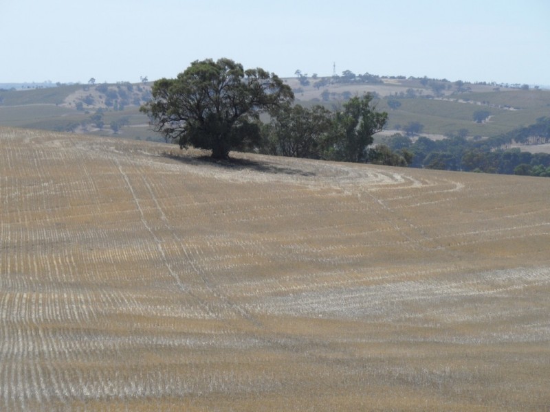 Lot 4 Mugge Road, Sandy Creek SA 5350