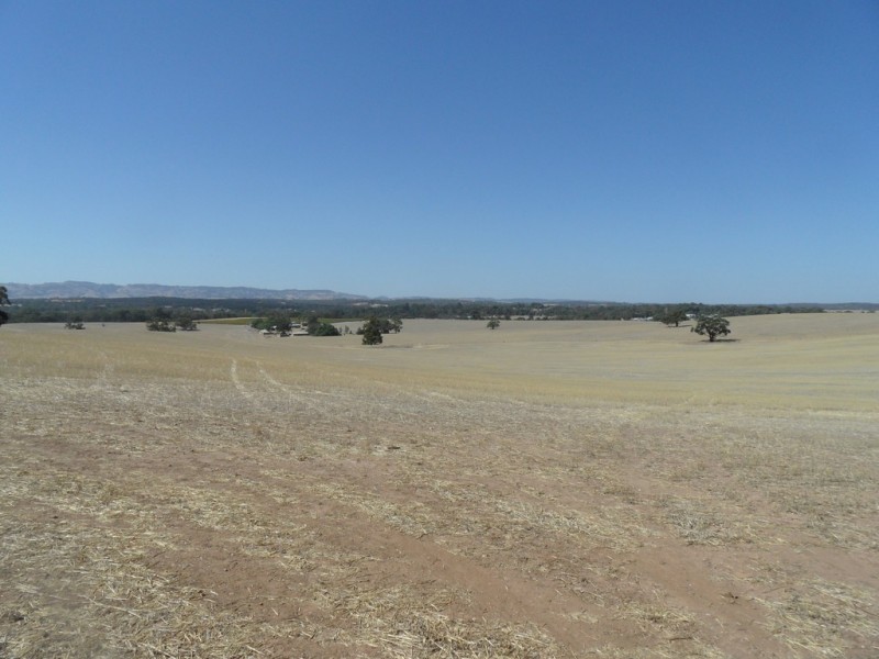 Lot 4 Mugge Road, Sandy Creek SA 5350