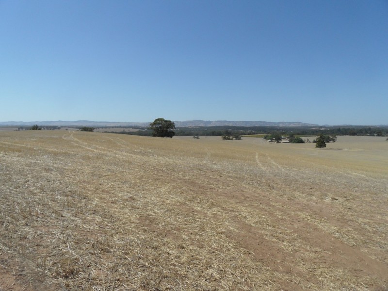 Lot 4 Mugge Road, Sandy Creek SA 5350