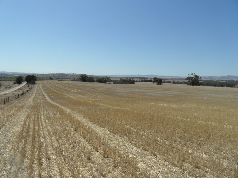 Lot 4 Mugge Road, Sandy Creek SA 5350