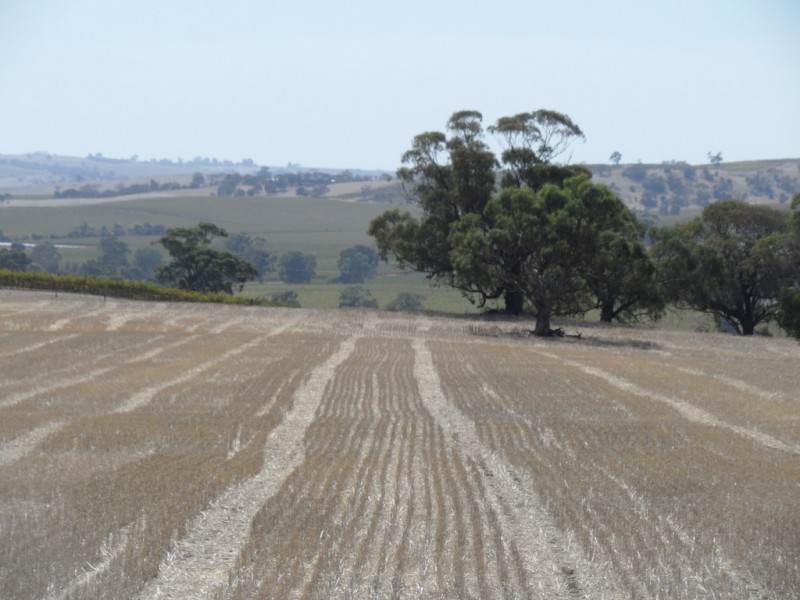 Lot 4 Mugge Road, Sandy Creek SA 5350