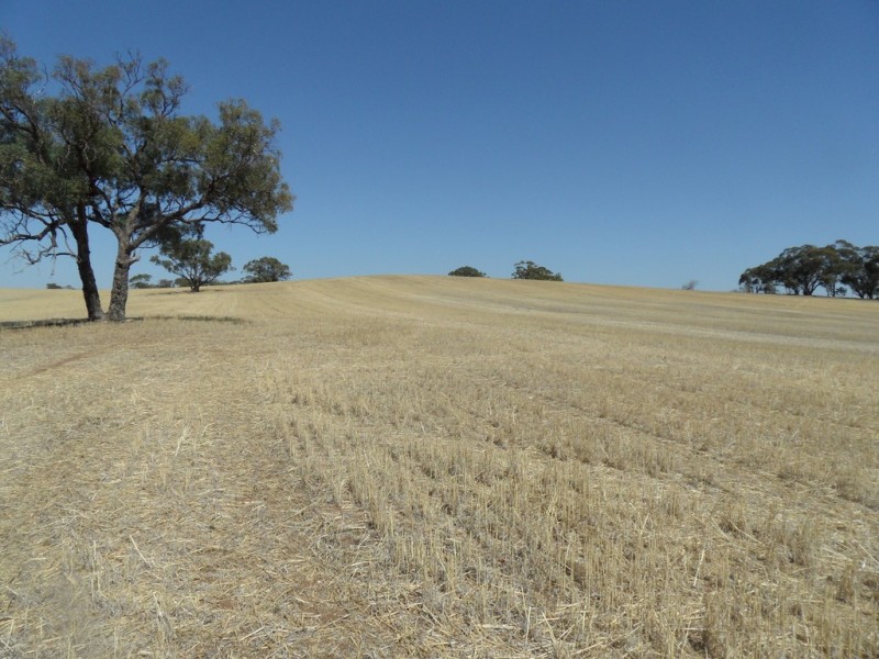 Lot 4 Mugge Road, Sandy Creek SA 5350