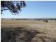 Lot 4 Mugge Road, Sandy Creek SA 5350