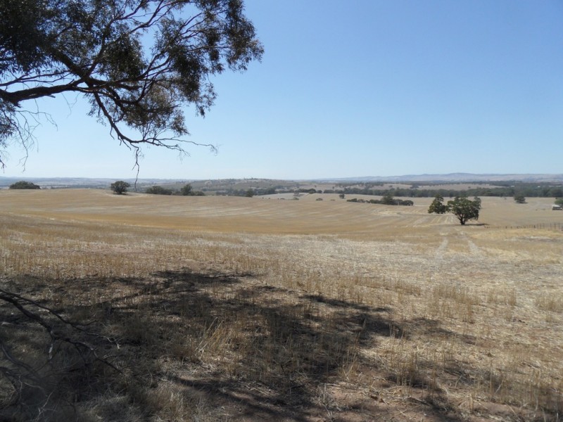 Lot 4 Mugge Road, Sandy Creek SA 5350