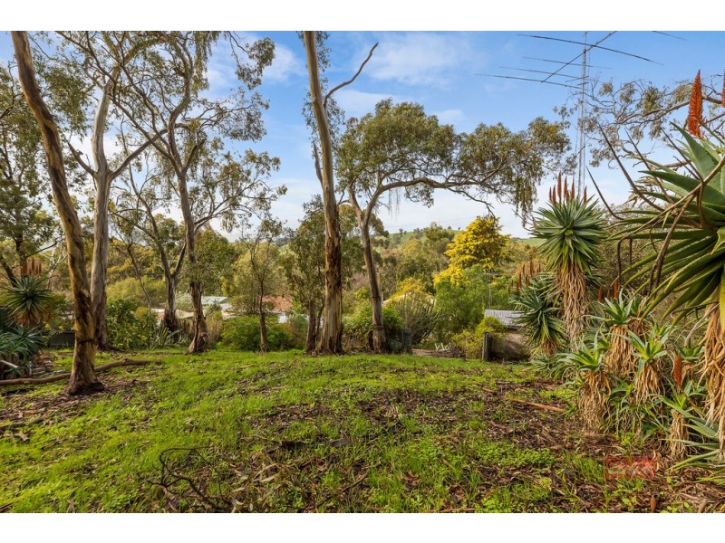 39 Adams Road, Williamstown SA 5351
