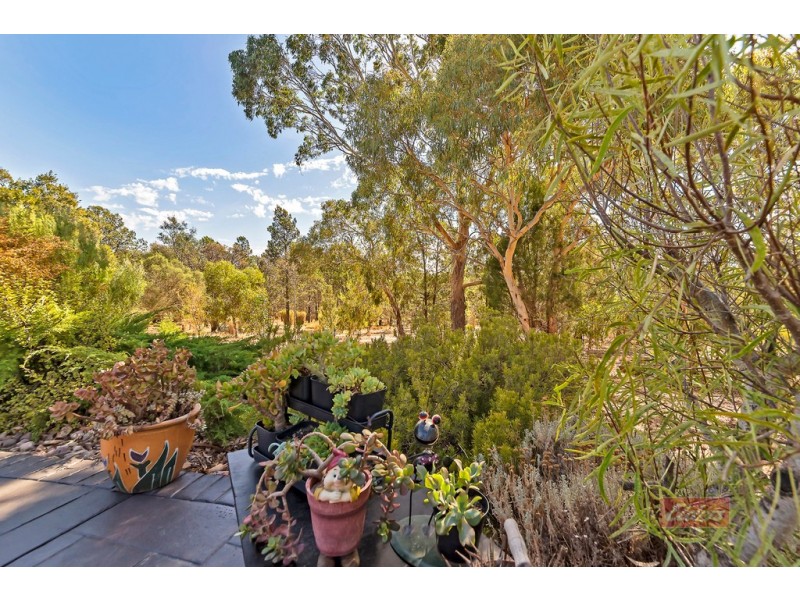 15 Knott Road, Williamstown SA 5351