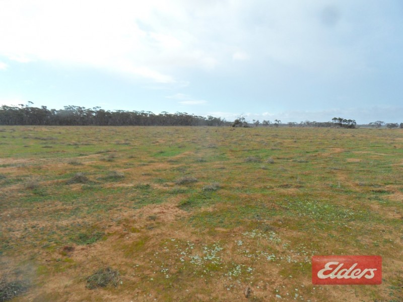 Section 36 Off Swamp Road, Truro SA 5356