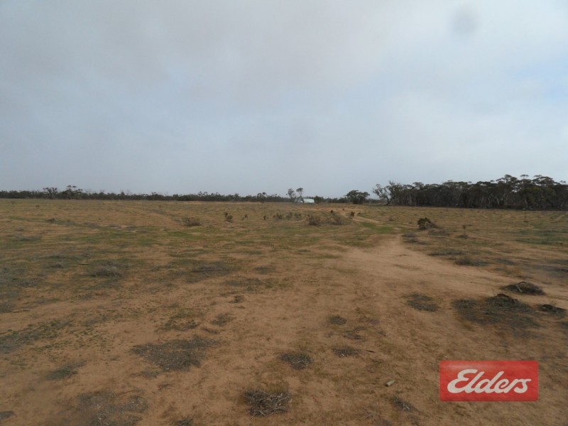 Section 36 Off Swamp Road, Truro SA 5356
