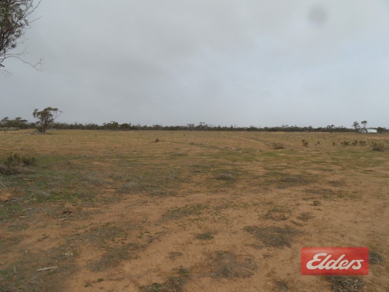 Section 36 Off Swamp Road, Truro SA 5356