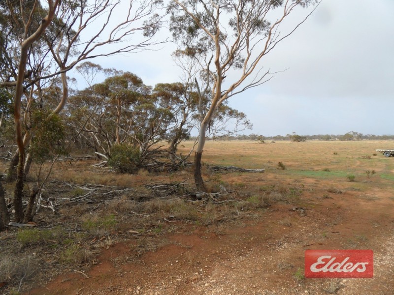 Section 36 Off Swamp Road, Truro SA 5356