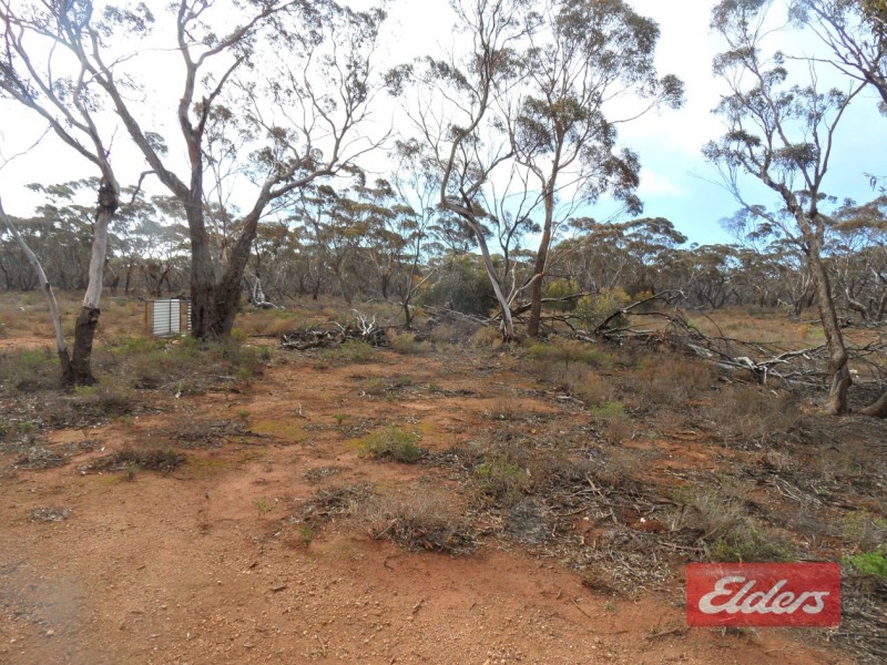 Section 36 Off Swamp Road, Truro SA 5356