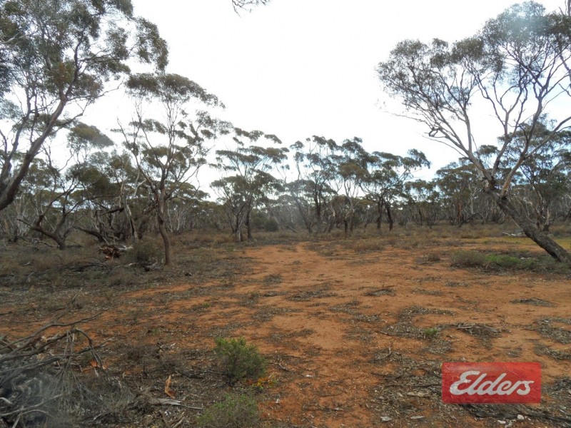 Section 36 Off Swamp Road, Truro SA 5356