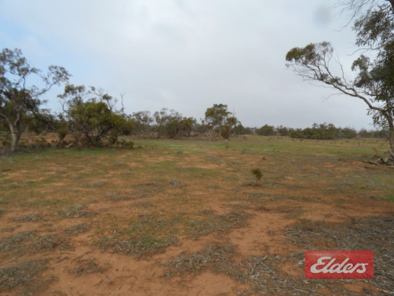 Section 36 Off Swamp Road, Truro SA 5356